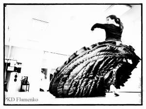 12647767_10205825203892660_76997580_n