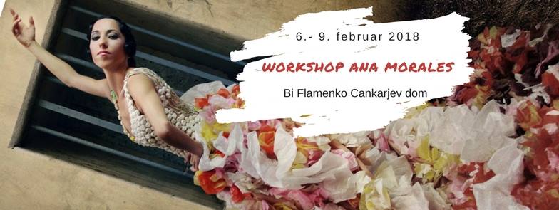 AnaMoralesWorkshop